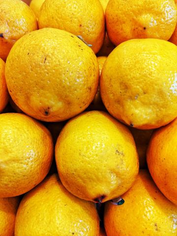 Limon